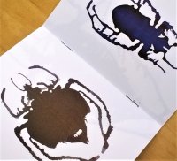79 Ink Blot Bug Book